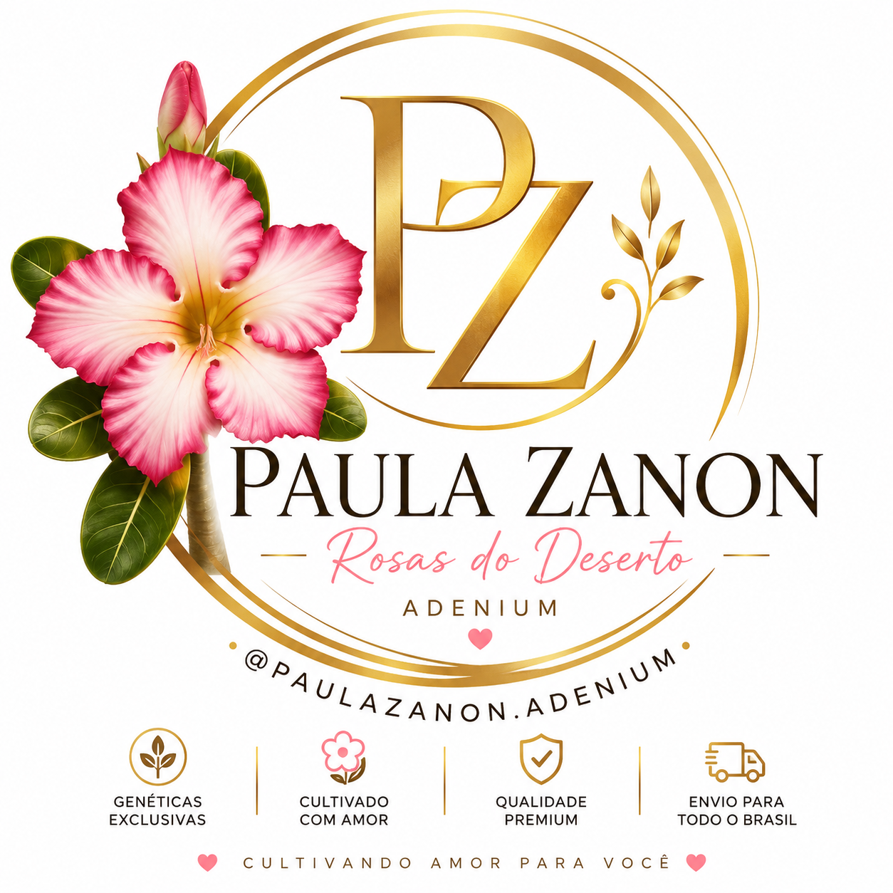 Foto de Paula Zanon de Lima 